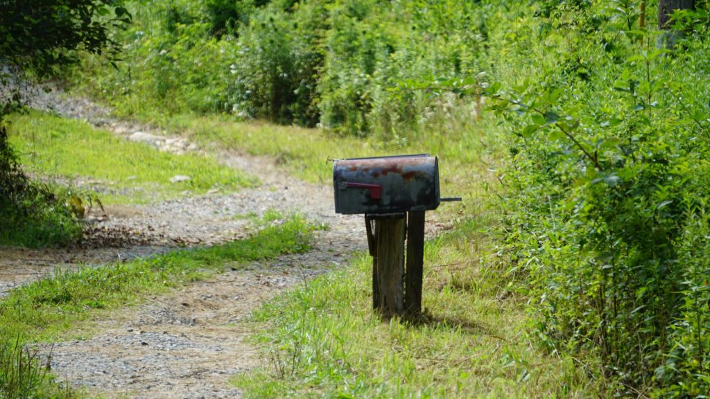 Mailbox standing in a forest surrounded by trees.